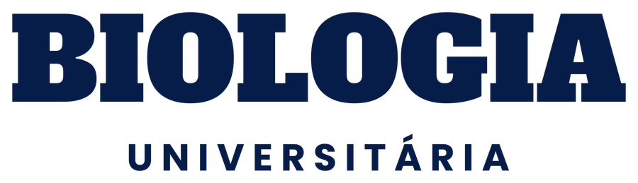 Curso Universitário Reto (peça clara)