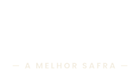 A Melhor Safra — peça escura