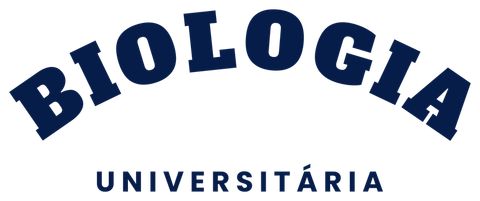 Curso Universitário (peça clara)