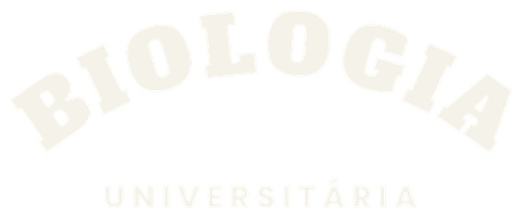 Curso Universitário (peça escura)