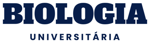 Curso Universitário Reto (peça clara)